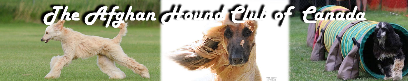 AHCC standard page banner image