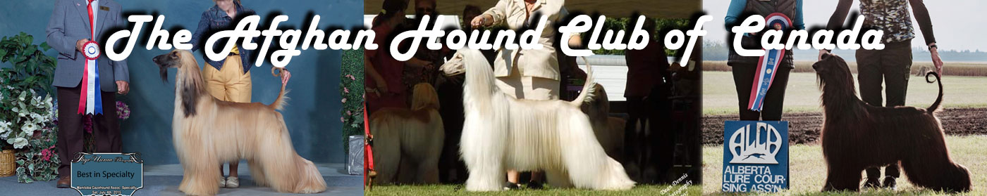 AHCC home page banner image