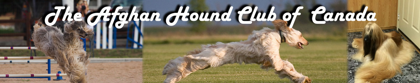 AHCC home page banner image