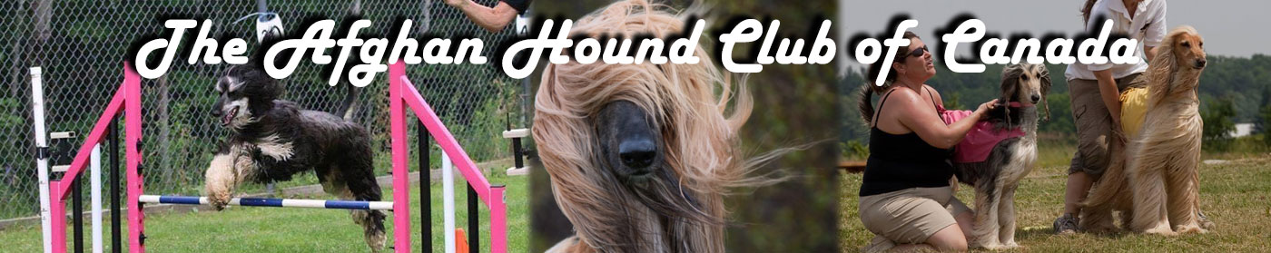 AHCC home page banner image