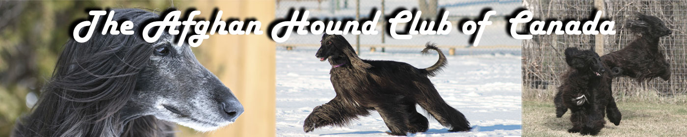 AHCC code page banner image