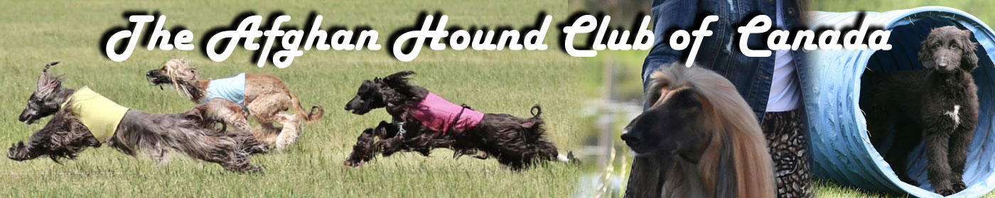AHCC home page banner image