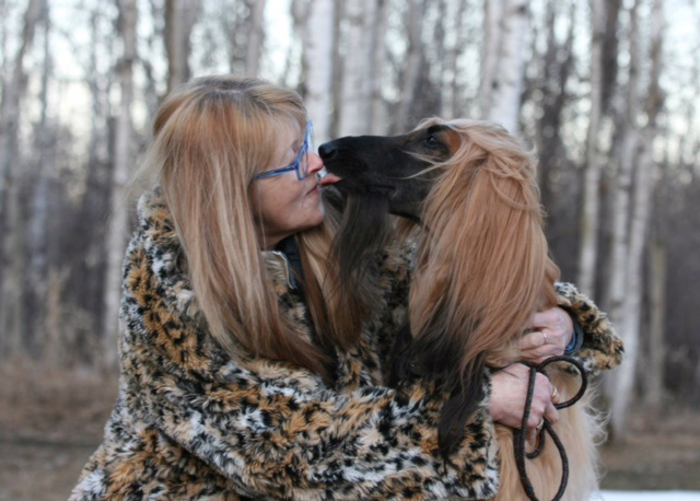 AHCC Afghan kiss
